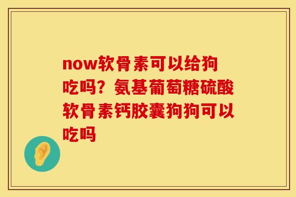 now软骨素可以给狗吃吗？氨基葡萄糖硫酸软骨素钙胶囊狗狗可以吃吗