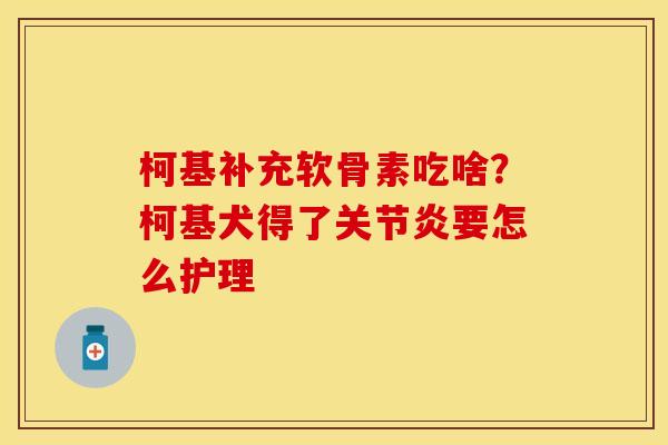 柯基补充软骨素吃啥？柯基犬得了关节炎要怎么护理