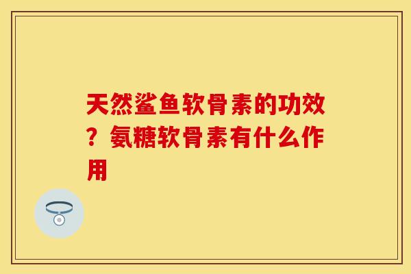 天然鲨鱼软骨素的功效？氨糖软骨素有什么作用