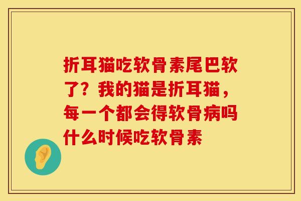 折耳猫吃软骨素尾巴软了？我的猫是折耳猫，每一个都会得软骨病吗什么时候吃软骨素