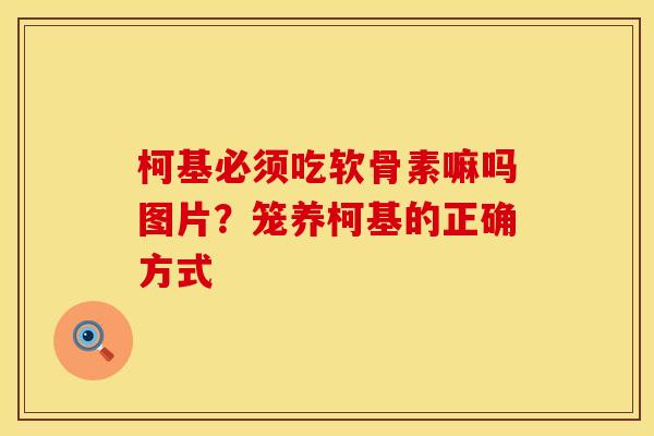 柯基必须吃软骨素嘛吗图片？笼养柯基的正确方式