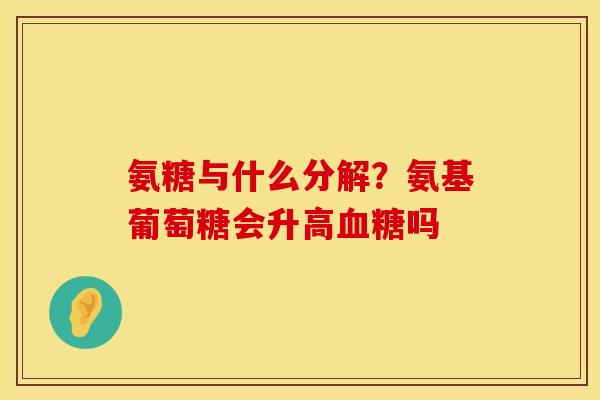 氨糖与什么分解？氨基葡萄糖会升高血糖吗