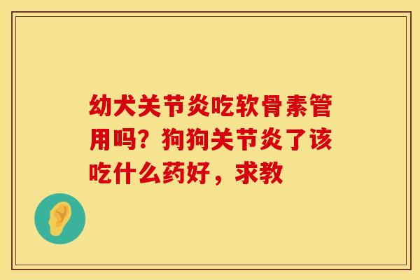 幼犬关节炎吃软骨素管用吗？狗狗关节炎了该吃什么药好，求教