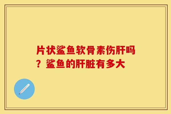片状鲨鱼软骨素伤肝吗？鲨鱼的肝脏有多大