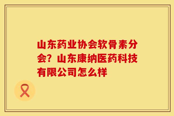 山东药业协会软骨素分会？山东康纳医药科技有限公司怎么样