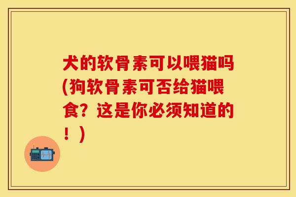 犬的软骨素可以喂猫吗(狗软骨素可否给猫喂食？这是你必须知道的！)