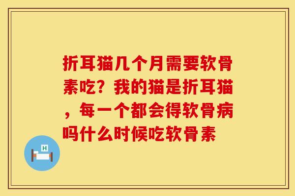 折耳猫几个月需要软骨素吃？我的猫是折耳猫，每一个都会得软骨病吗什么时候吃软骨素