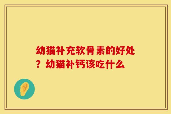 幼猫补充软骨素的好处？幼猫补钙该吃什么