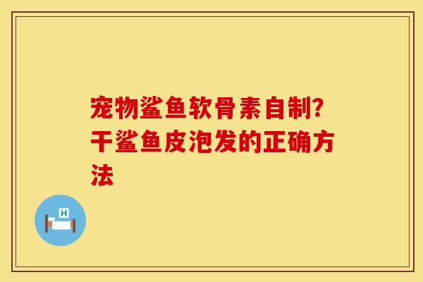 宠物鲨鱼软骨素自制？干鲨鱼皮泡发的正确方法