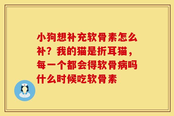 小狗想补充软骨素怎么补？我的猫是折耳猫，每一个都会得软骨病吗什么时候吃软骨素