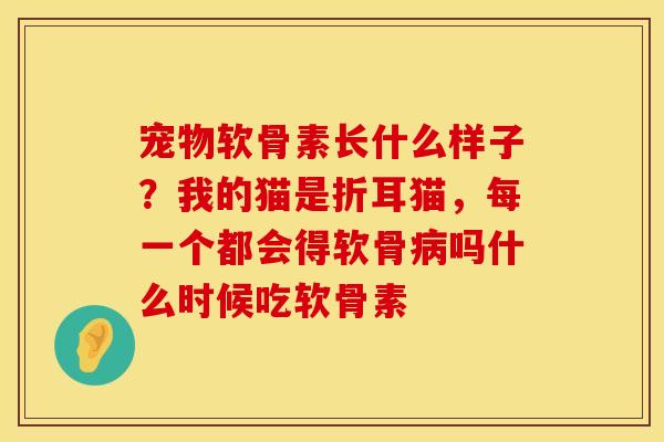宠物软骨素长什么样子？我的猫是折耳猫，每一个都会得软骨病吗什么时候吃软骨素