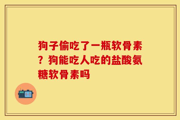 狗子偷吃了一瓶软骨素？狗能吃人吃的盐酸氨糖软骨素吗