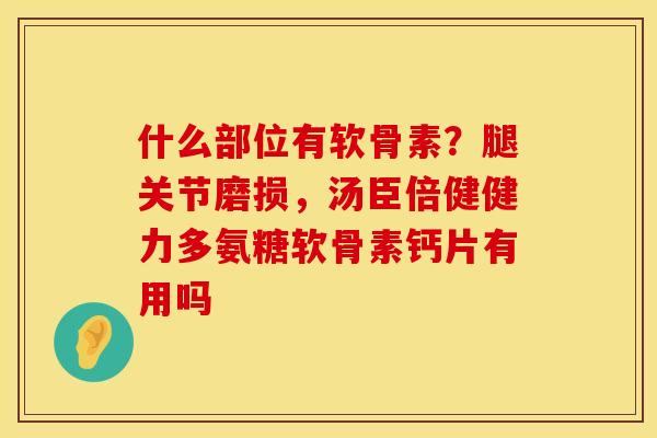 什么部位有软骨素？腿关节磨损，汤臣倍健健力多氨糖软骨素钙片有用吗