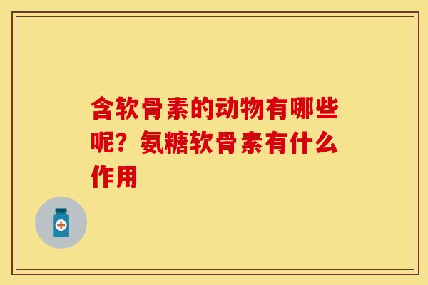 含软骨素的动物有哪些呢？氨糖软骨素有什么作用