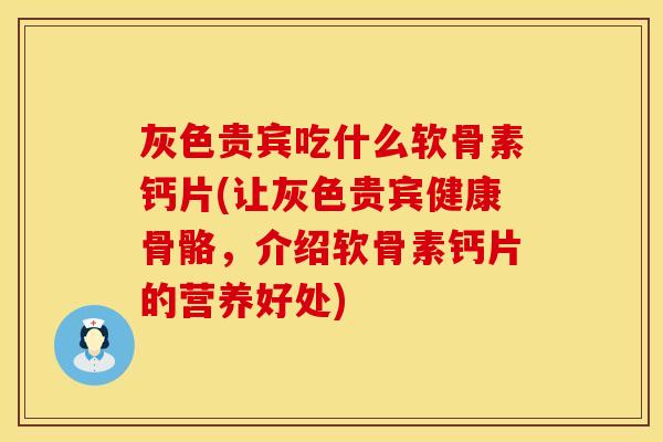 灰色贵宾吃什么软骨素钙片(让灰色贵宾健康骨骼，介绍软骨素钙片的营养好处)