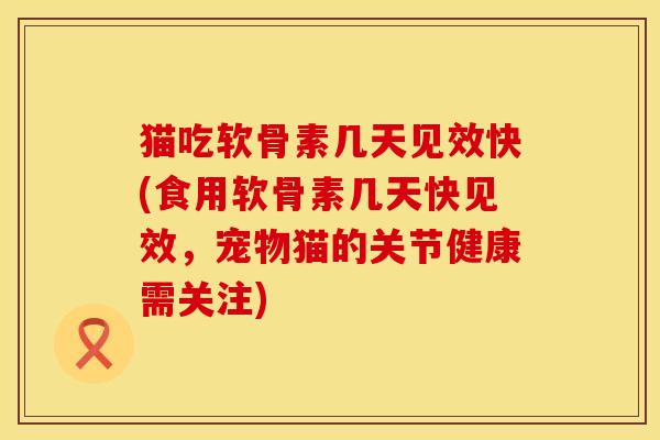 猫吃软骨素几天见效快(食用软骨素几天快见效，宠物猫的关节健康需关注)