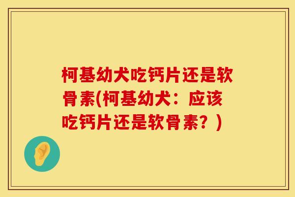柯基幼犬吃钙片还是软骨素(柯基幼犬：应该吃钙片还是软骨素？)