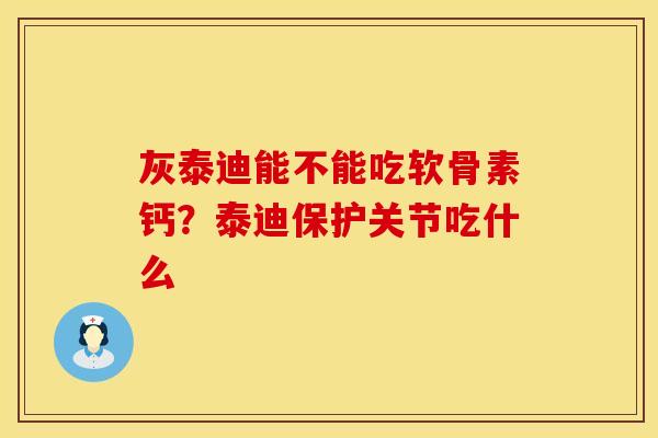 灰泰迪能不能吃软骨素钙？泰迪保护关节吃什么