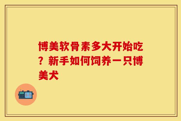 博美软骨素多大开始吃？新手如何饲养一只博美犬