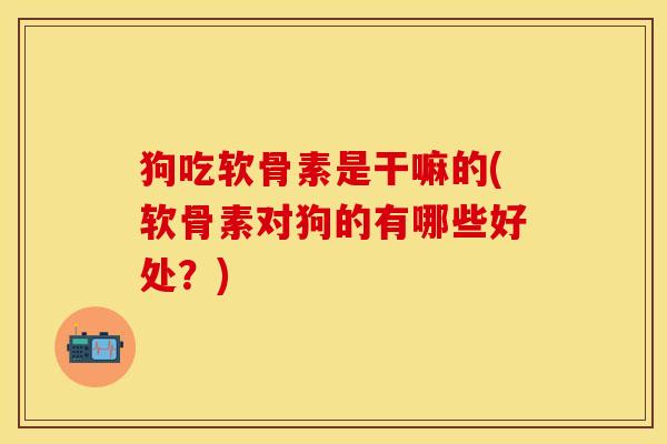 狗吃软骨素是干嘛的(软骨素对狗的有哪些好处？)