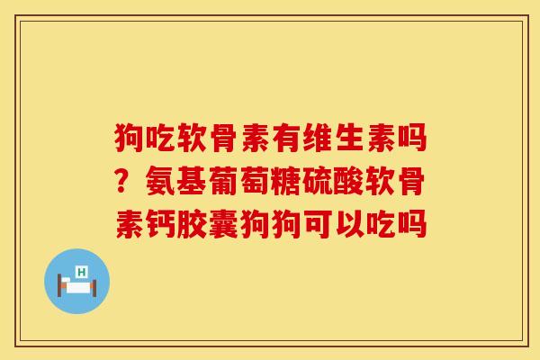 狗吃软骨素有维生素吗？氨基葡萄糖硫酸软骨素钙胶囊狗狗可以吃吗