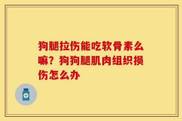 狗腿拉伤能吃软骨素么嘛？狗狗腿肌肉组织损伤怎么办