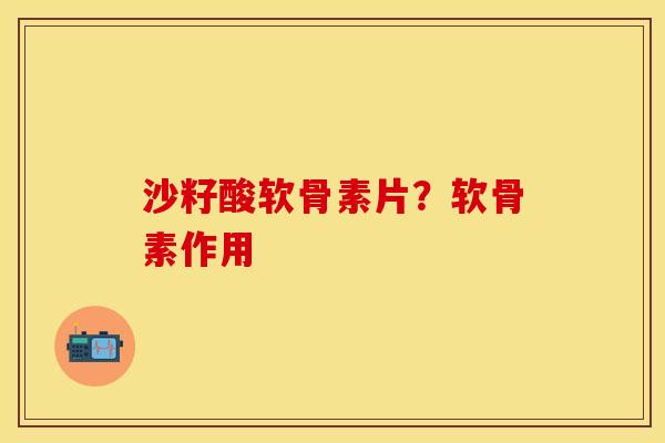 沙籽酸软骨素片？软骨素作用