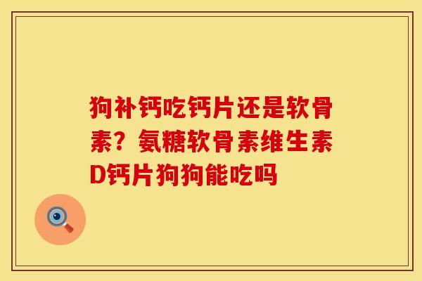 狗补钙吃钙片还是软骨素？氨糖软骨素维生素D钙片狗狗能吃吗