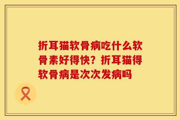折耳猫软骨病吃什么软骨素好得快？折耳猫得软骨病是次次发病吗