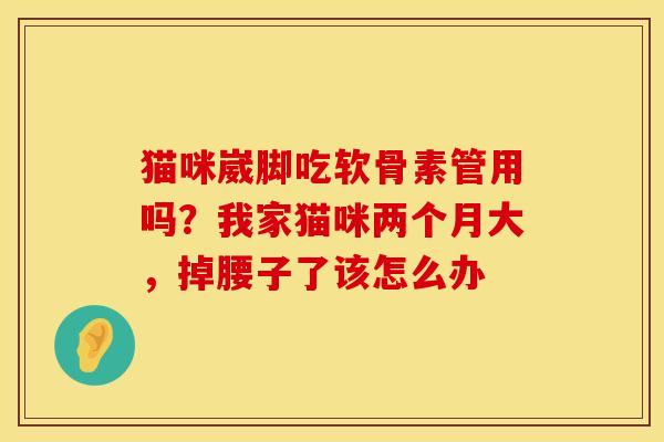 猫咪崴脚吃软骨素管用吗？我家猫咪两个月大，掉腰子了该怎么办