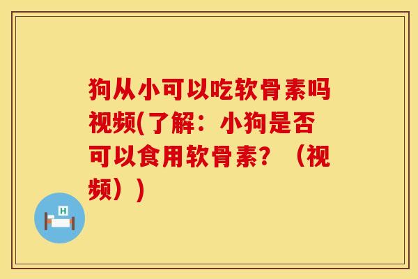 狗从小可以吃软骨素吗视频(了解：小狗是否可以食用软骨素？（视频）)