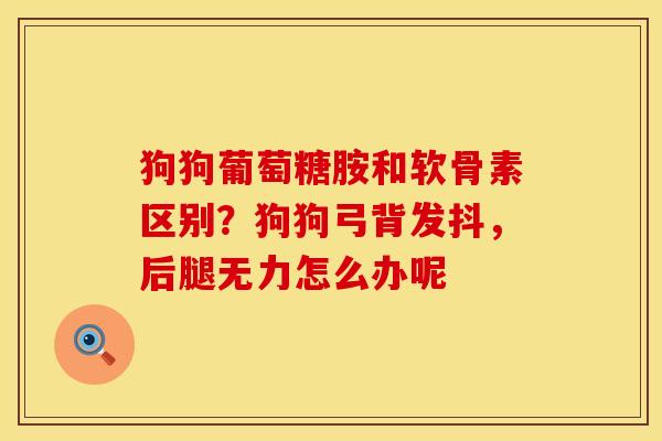 狗狗葡萄糖胺和软骨素区别？狗狗弓背发抖，后腿无力怎么办呢