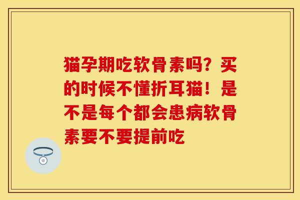 猫孕期吃软骨素吗？买的时候不懂折耳猫！是不是每个都会患病软骨素要不要提前吃