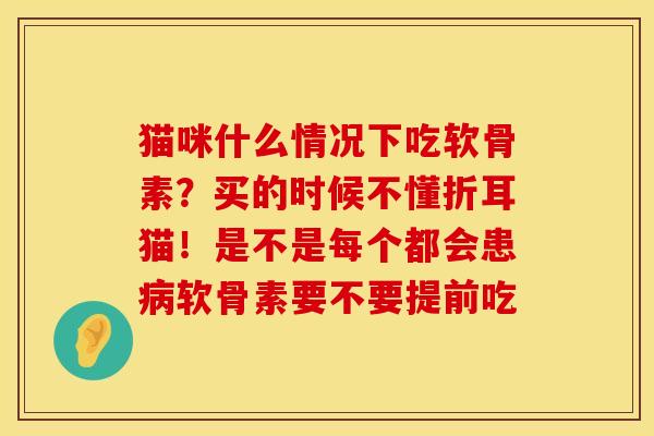 猫咪什么情况下吃软骨素？买的时候不懂折耳猫！是不是每个都会患病软骨素要不要提前吃