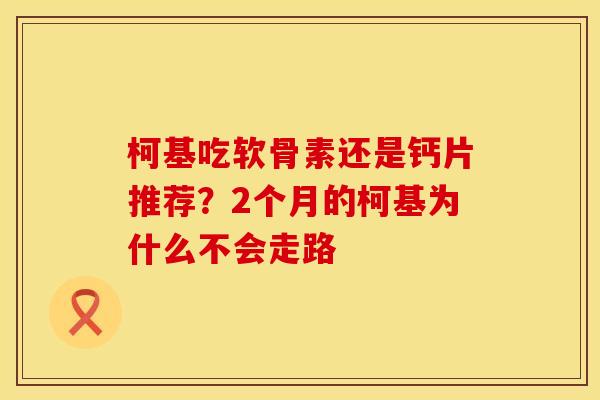 柯基吃软骨素还是钙片推荐？2个月的柯基为什么不会走路