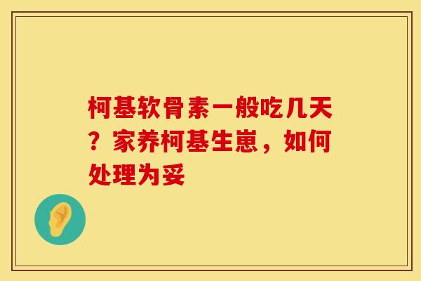 柯基软骨素一般吃几天？家养柯基生崽，如何处理为妥