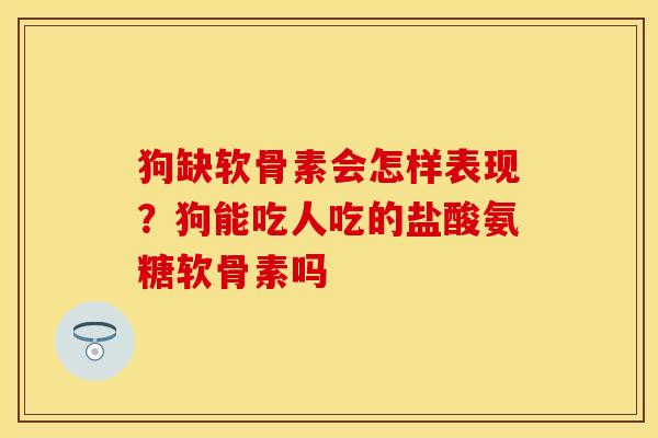 狗缺软骨素会怎样表现？狗能吃人吃的盐酸氨糖软骨素吗