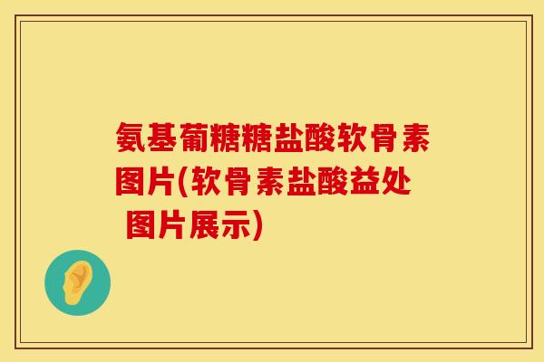 氨基葡糖糖盐酸软骨素图片(软骨素盐酸益处 图片展示)