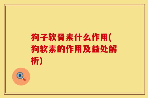 狗子软骨素什么作用(狗软素的作用及益处解析)