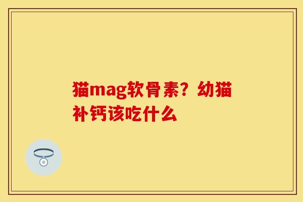 猫mag软骨素？幼猫补钙该吃什么