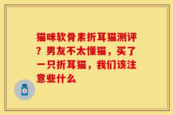 猫咪软骨素折耳猫测评？男友不太懂猫，买了一只折耳猫，我们该注意些什么