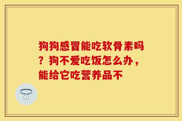 狗狗感冒能吃软骨素吗？狗不爱吃饭怎么办，能给它吃营养品不
