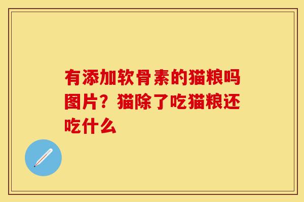 有添加软骨素的猫粮吗图片?猫除了吃猫粮还吃什么