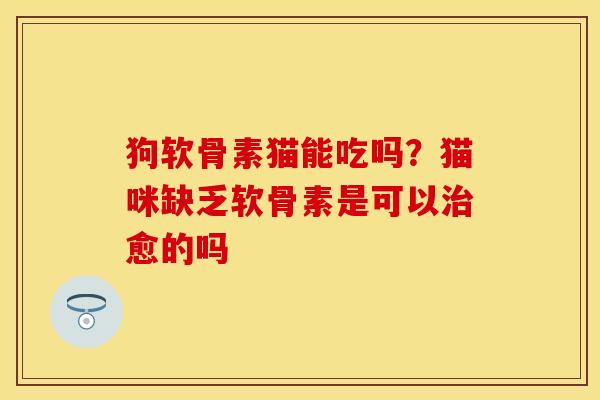 狗软骨素猫能吃吗？猫咪缺乏软骨素是可以治愈的吗