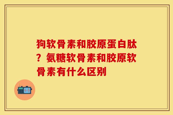 狗软骨素和胶原蛋白肽？氨糖软骨素和胶原软骨素有什么区别