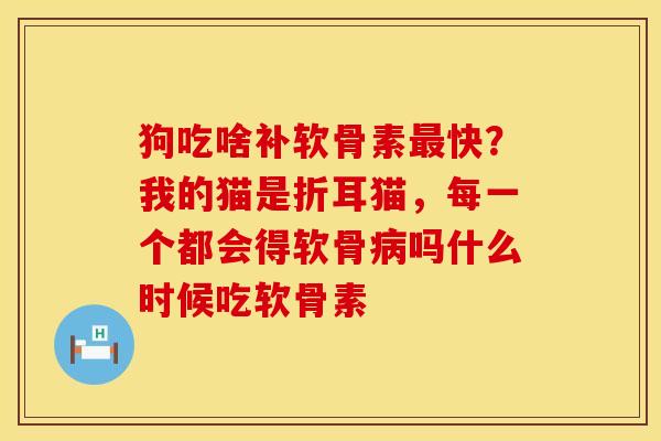 狗吃啥补软骨素最快？我的猫是折耳猫，每一个都会得软骨病吗什么时候吃软骨素