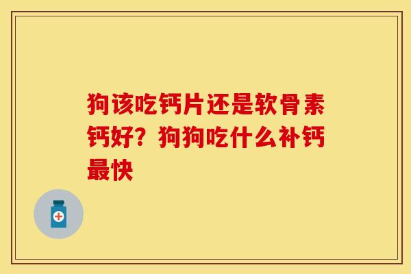 狗该吃钙片还是软骨素钙好？狗狗吃什么补钙最快