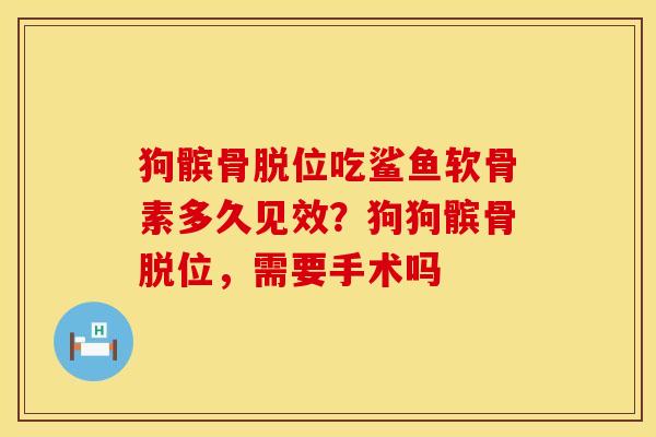 狗髌骨脱位吃鲨鱼软骨素多久见效？狗狗髌骨脱位，需要手术吗