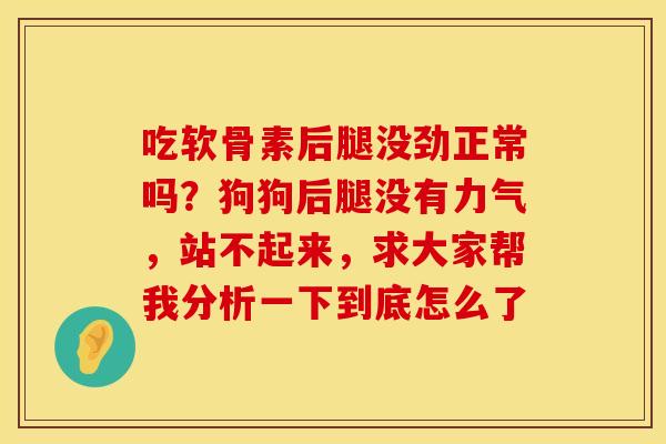 吃软骨素后腿没劲正常吗？狗狗后腿没有力气，站不起来，求大家帮我分析一下到底怎么了