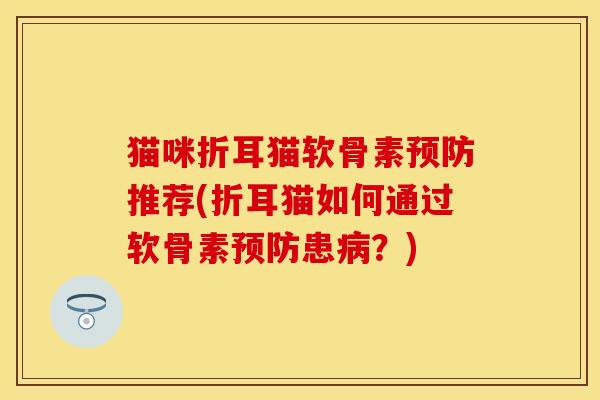 猫咪折耳猫软骨素预防推荐(折耳猫如何通过软骨素预防患病？)